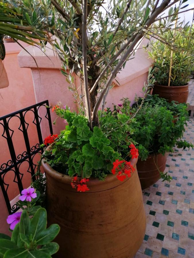 Riad Aventurine Марракеш Екстер'єр фото